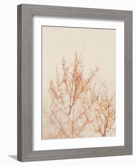 Tree in Winter-Myan Soffia-Framed Photographic Print