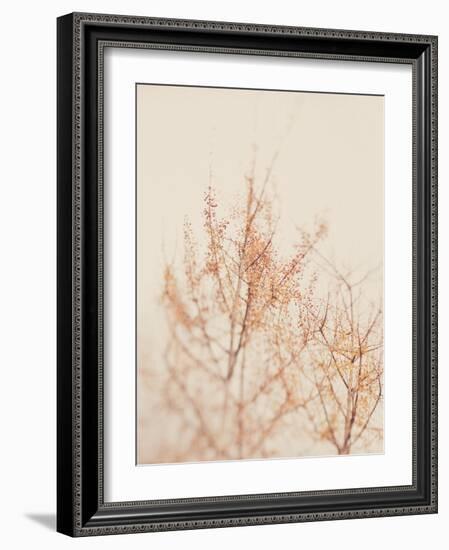 Tree in Winter-Myan Soffia-Framed Photographic Print