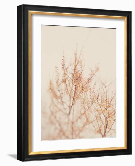 Tree in Winter-Myan Soffia-Framed Photographic Print