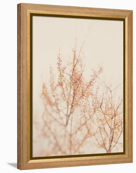 Tree in Winter-Myan Soffia-Framed Premier Image Canvas