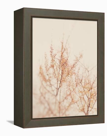 Tree in Winter-Myan Soffia-Framed Premier Image Canvas