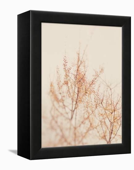 Tree in Winter-Myan Soffia-Framed Premier Image Canvas