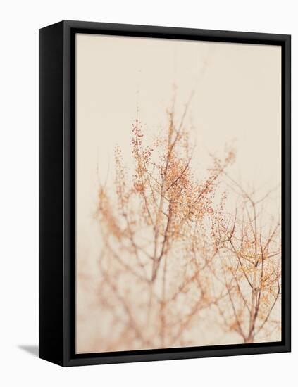 Tree in Winter-Myan Soffia-Framed Premier Image Canvas