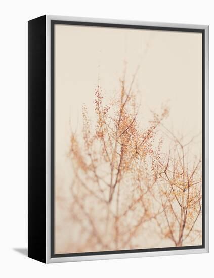 Tree in Winter-Myan Soffia-Framed Premier Image Canvas