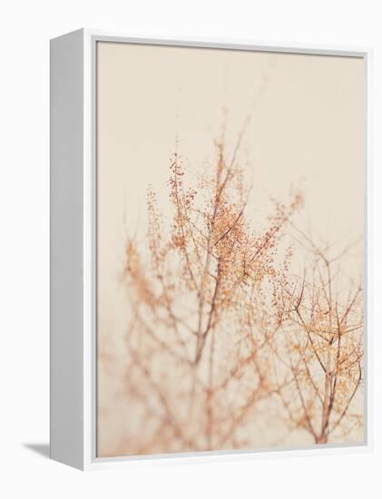 Tree in Winter-Myan Soffia-Framed Premier Image Canvas