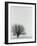 Tree In Winter-Cristina-Framed Photographic Print