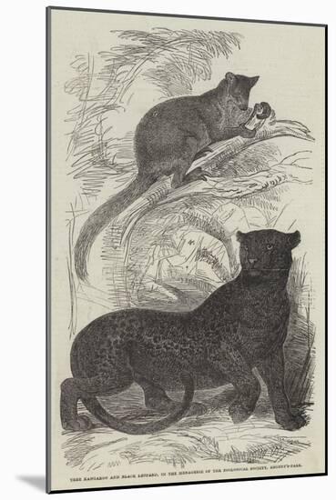 Tree Kangaroo and Black Leopard, in the Menagerie of the Zoological Society, Regent'S-Park-null-Mounted Giclee Print