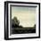 Tree Line II-Robert Charon-Framed Art Print