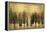 Tree Line on Gold-Kate Bennett-Framed Stretched Canvas