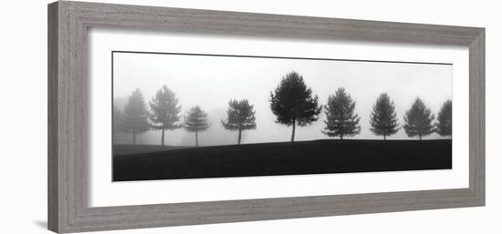 Tree Line-Erin Clark-Framed Art Print