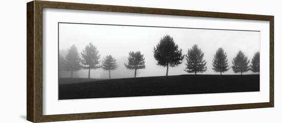 Tree Line-Erin Clark-Framed Art Print