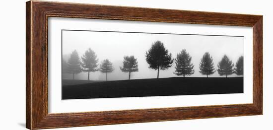 Tree Line-Erin Clark-Framed Art Print