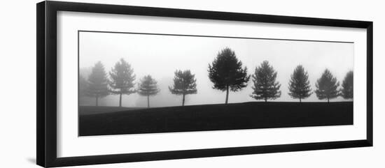 Tree Line-Erin Clark-Framed Art Print