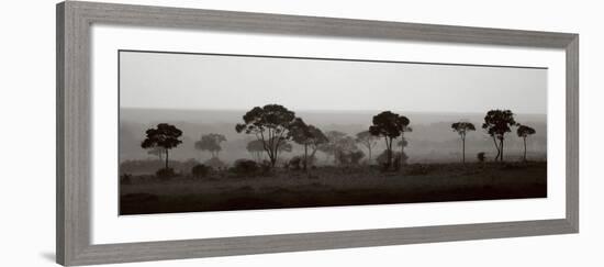 Tree Line-Jorge Llovet-Framed Art Print