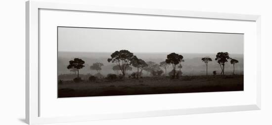 Tree Line-Jorge Llovet-Framed Art Print