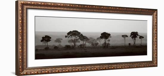 Tree Line-Jorge Llovet-Framed Art Print