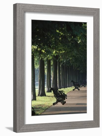 Tree Lined Avenue, Greenwich Park, London. Landscaped by Andre Le Notre for Charles Ii-Richard Turpin-Framed Photographic Print