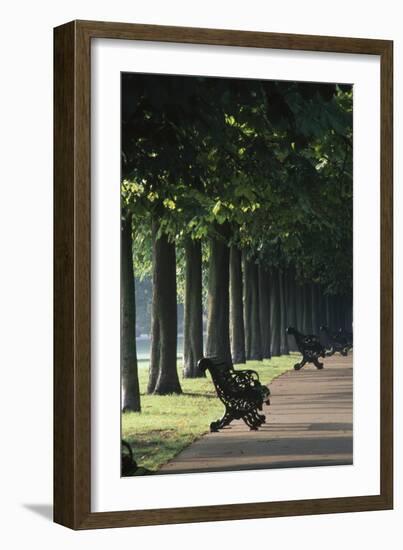 Tree Lined Avenue, Greenwich Park, London. Landscaped by Andre Le Notre for Charles Ii-Richard Turpin-Framed Photographic Print