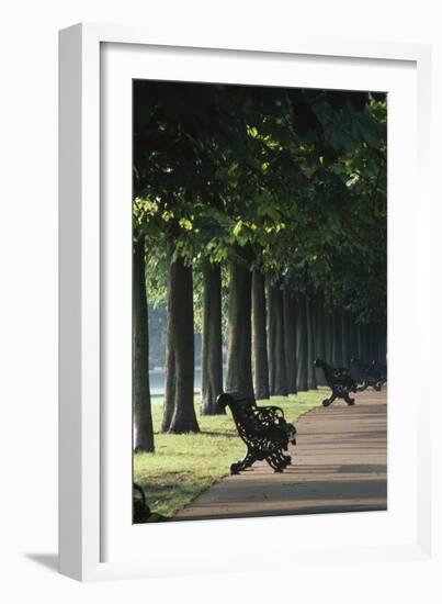 Tree Lined Avenue, Greenwich Park, London. Landscaped by Andre Le Notre for Charles Ii-Richard Turpin-Framed Photographic Print