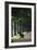 Tree Lined Avenue, Greenwich Park, London. Landscaped by Andre Le Notre for Charles Ii-Richard Turpin-Framed Photographic Print