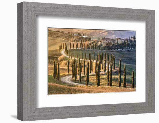 Tree-lined avenue with cypresses at sunset in Tuscany, Italy, Europe-Francesco Fanti-Framed Photographic Print