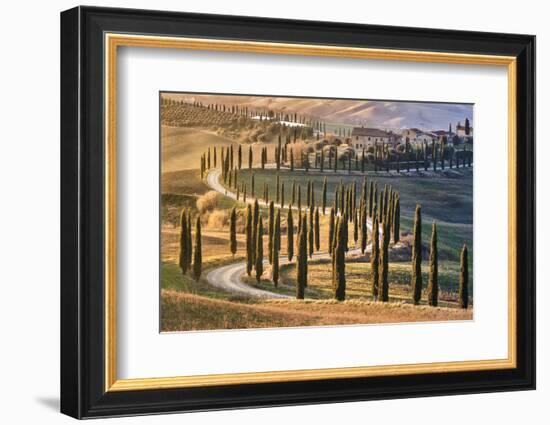 Tree-lined avenue with cypresses at sunset in Tuscany, Italy, Europe-Francesco Fanti-Framed Photographic Print