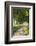 Tree Lined Country Lane, Dorset, England. Summer (July)-Adam Burton-Framed Photographic Print