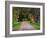 Tree Lined Country Road at Sunset, Montevideo, Uruguay-Per Karlsson-Framed Photographic Print