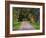 Tree Lined Country Road at Sunset, Montevideo, Uruguay-Per Karlsson-Framed Photographic Print