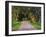 Tree Lined Country Road at Sunset, Montevideo, Uruguay-Per Karlsson-Framed Photographic Print