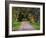 Tree Lined Country Road at Sunset, Montevideo, Uruguay-Per Karlsson-Framed Photographic Print