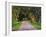 Tree Lined Country Road at Sunset, Montevideo, Uruguay-Per Karlsson-Framed Photographic Print