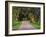 Tree Lined Country Road at Sunset, Montevideo, Uruguay-Per Karlsson-Framed Photographic Print