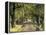 Tree-Lined Driveway, Bluegrass Region, Lexington, Kentucky, USA-Adam Jones-Framed Premier Image Canvas