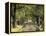 Tree-Lined Driveway, Bluegrass Region, Lexington, Kentucky, USA-Adam Jones-Framed Premier Image Canvas