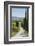 Tree Lined Driveway, Val D'Orcia, Tuscany, Italy, Europe-James Emmerson-Framed Photographic Print