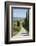 Tree Lined Driveway, Val D'Orcia, Tuscany, Italy, Europe-James Emmerson-Framed Photographic Print