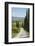 Tree Lined Driveway, Val D'Orcia, Tuscany, Italy, Europe-James Emmerson-Framed Photographic Print