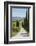 Tree Lined Driveway, Val D'Orcia, Tuscany, Italy, Europe-James Emmerson-Framed Photographic Print