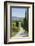 Tree Lined Driveway, Val D'Orcia, Tuscany, Italy, Europe-James Emmerson-Framed Photographic Print