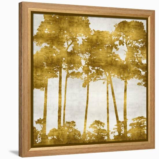 Tree Lined In Gold II-Kate Bennett-Framed Stretched Canvas