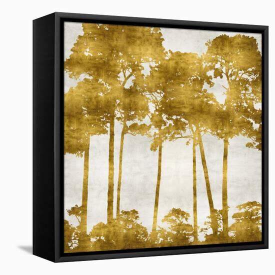 Tree Lined In Gold II-Kate Bennett-Framed Stretched Canvas