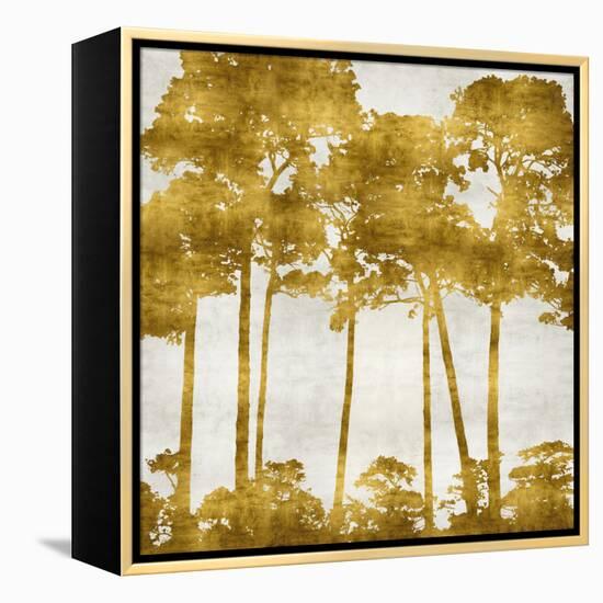 Tree Lined In Gold II-Kate Bennett-Framed Stretched Canvas