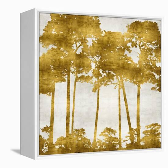 Tree Lined In Gold II-Kate Bennett-Framed Stretched Canvas