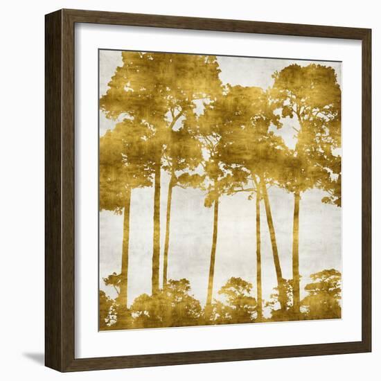 Tree Lined In Gold II-Kate Bennett-Framed Art Print