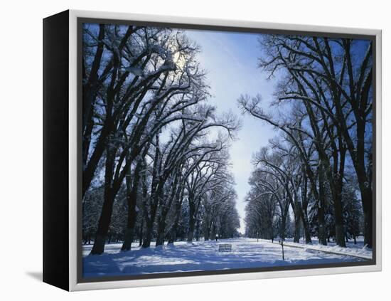 Tree Lined Promenade in Winter, Liberty Park, Salt Lake City, Utah, USA-Scott T. Smith-Framed Premier Image Canvas