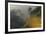 Tree-lined Ridge-Staffan Widstrand-Framed Giclee Print