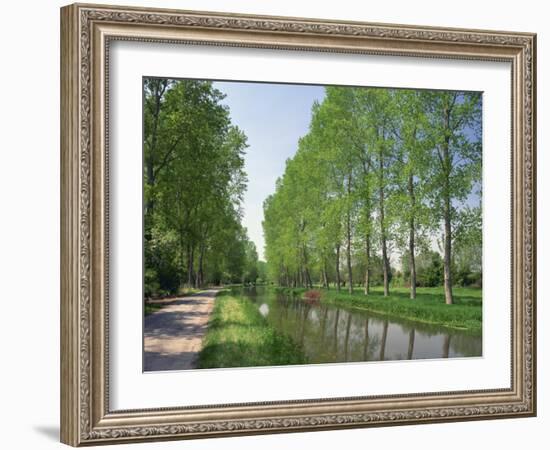 Tree Lined River Bank in Spring, Marais Poitevin, Deux Sevres Near Coulon, Poitou Charentes, France-Michael Busselle-Framed Photographic Print