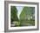 Tree Lined River Bank in Spring, Marais Poitevin, Deux Sevres Near Coulon, Poitou Charentes, France-Michael Busselle-Framed Photographic Print