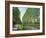 Tree Lined River Bank in Spring, Marais Poitevin, Deux Sevres Near Coulon, Poitou Charentes, France-Michael Busselle-Framed Photographic Print